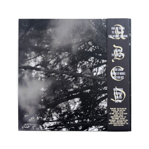 The Wringing Cloth (2LP, 2nd pressing)