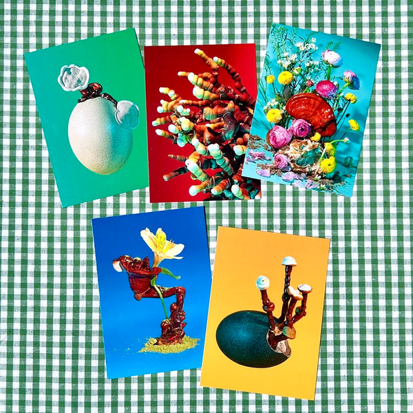 Ganoderma Postcard Pack