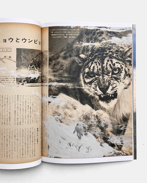 紫音 shion journal