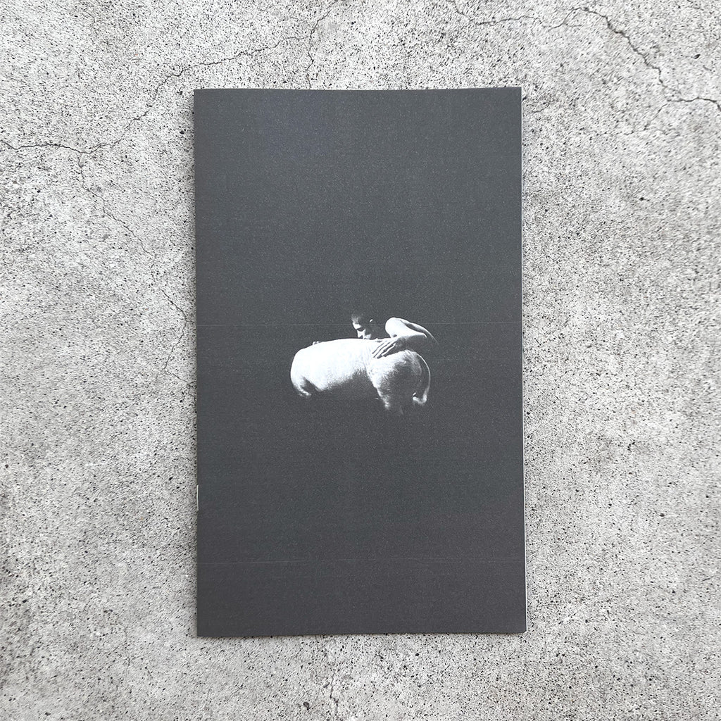 Alain Pierre - Vase de Noces (LP + BOOKLET)